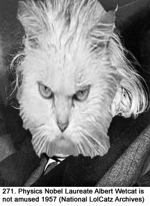 einsteincatz.jpg