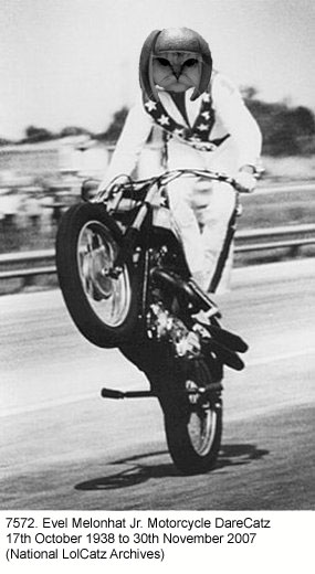 evel_knievel.jpg