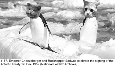 penguins.jpg