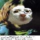 johnlennon.jpg