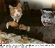 nixon_chou.jpg
